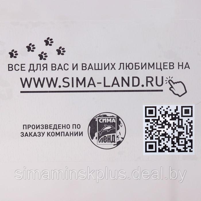 Аквариум "Панорамный" без крышки, 25 литров, 44 х 18,5 х 31 см - фото 2 - id-p174634124