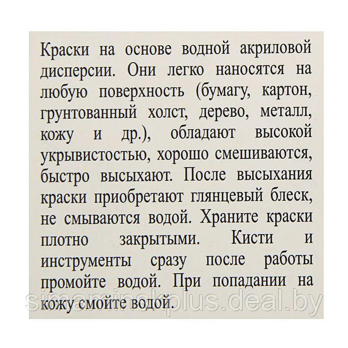 Краска акриловая, набор 9 цветов х 20 мл, ЗХК Decola, глянцевые, 2941115 - фото 2 - id-p174630362