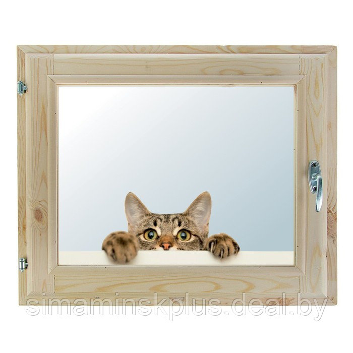 Окно, 40×60см, "Кошак", однокамерный стеклопакет