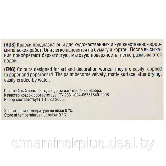 Гуашь художественная, набор 12 цветов х 40 мл, ЗХК "Сонет", (3641064) - фото 2 - id-p174630598