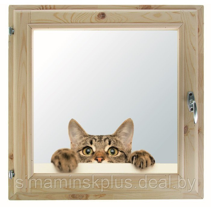 Окно, 50×60см, "Кошак", однокамерный стеклопакет - фото 1 - id-p174628086
