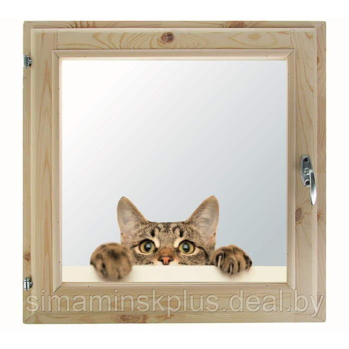Окно 60х70 см, "Кошак", однокамерный стеклопакет, уплотнитель, хвоя - фото 1 - id-p174628122