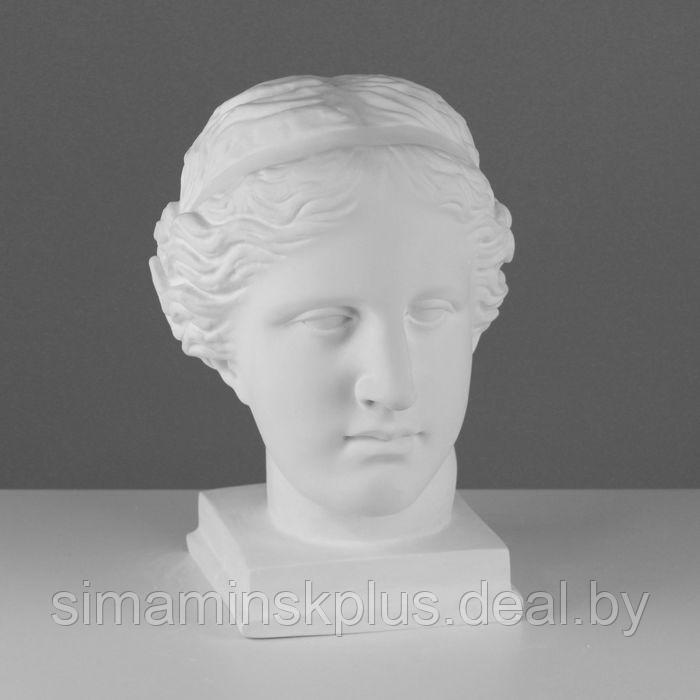 Гипсовая фигура голова Венеры Милосской «Мастерская Экорше», 22 х 32 х 35 см