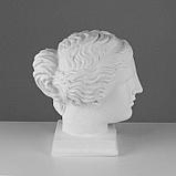 Гипсовая фигура голова Венеры Милосской «Мастерская Экорше», 22 х 32 х 35 см, фото 2