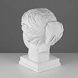Гипсовая фигура голова Венеры Милосской «Мастерская Экорше», 22 х 32 х 35 см, фото 3