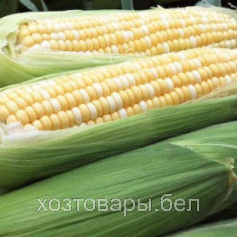 Купить Семена Кукурузы Эскимо