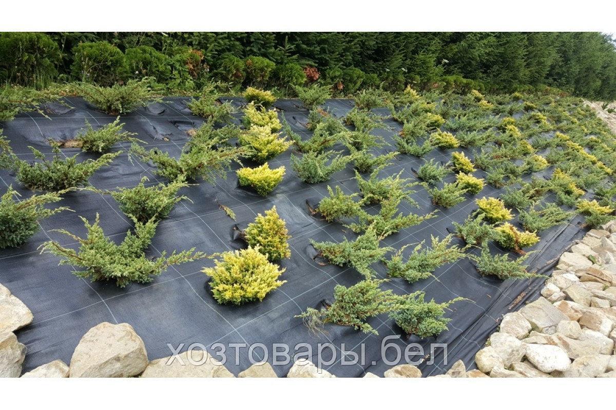 Агроткань против сорняков, ширина 1,6м, 135 гр/м² цвет черный - фото 8 - id-p174755581