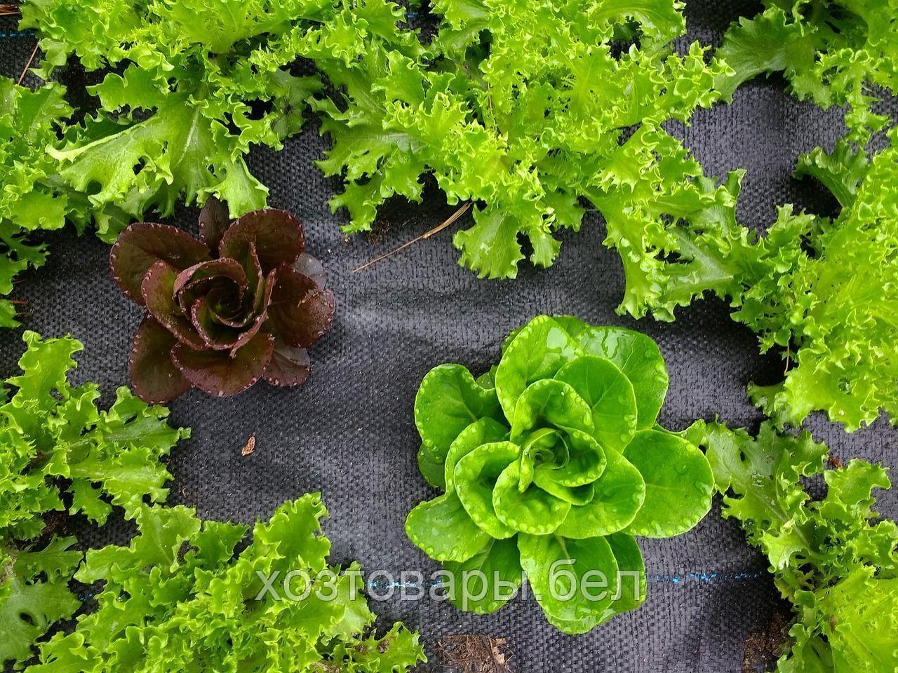 Агроткань против сорняков, ширина 3,2м, 70 гр/м² цвет черный - фото 6 - id-p174755577