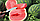 Семена арбуза "Романза" F1 10 шт. Syngenta Нидерланды, фото 3