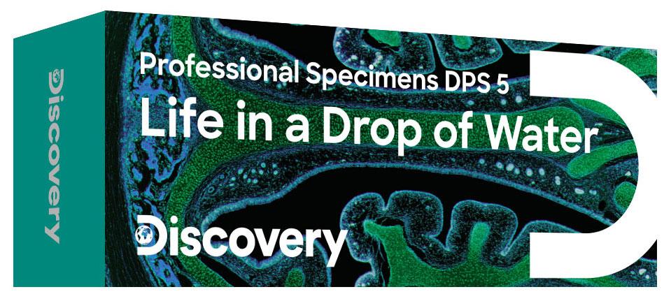 Набор микропрепаратов Discovery Prof DPS 5. «Жизнь в капле воды» - фото 1 - id-p174802409