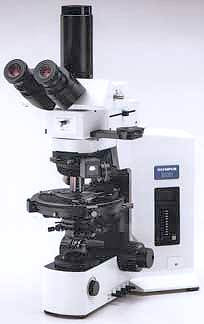 Поляризационный микроскоп Olympus ВХ-51Р - фото 1 - id-p174919505