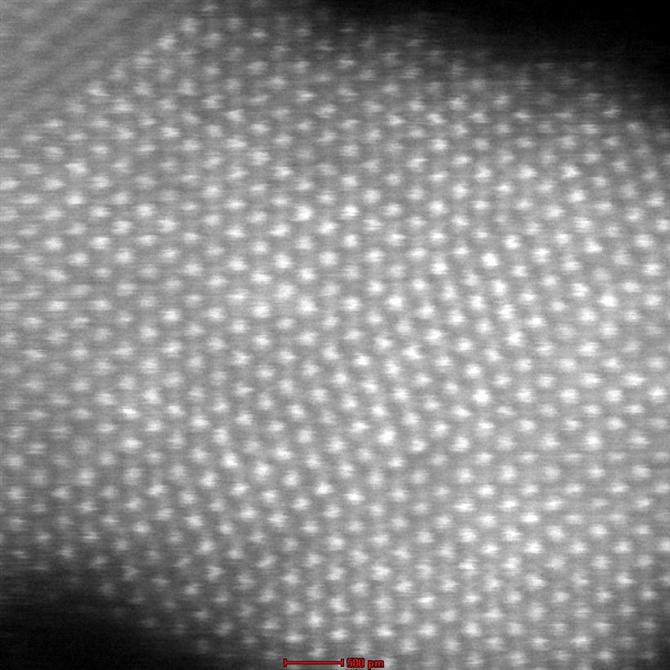 Просвечивающие электронные микроскопы FEI Titan Themis - фото 5 - id-p174919524
