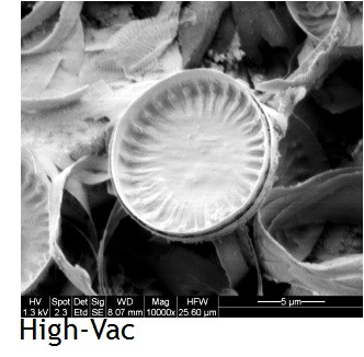 Микроскоп FEI Quanta SEM - фото 2 - id-p174919562