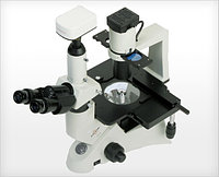 Инвертированные микроскопы ACCU-SCOPE