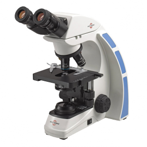 Лабораторные микроскопы Accu-scope 3025 - фото 2 - id-p174919618