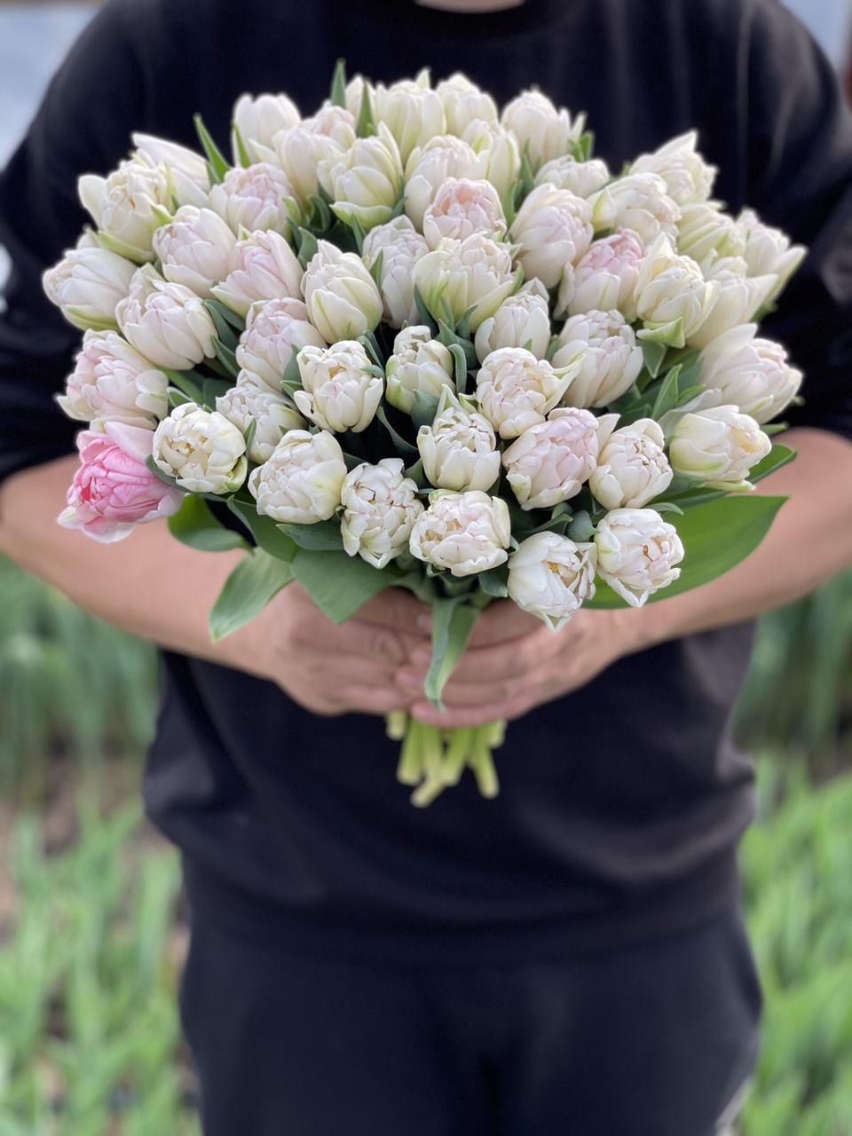 Белые и кремовые тюльпаны - фото 2 - id-p72197643
