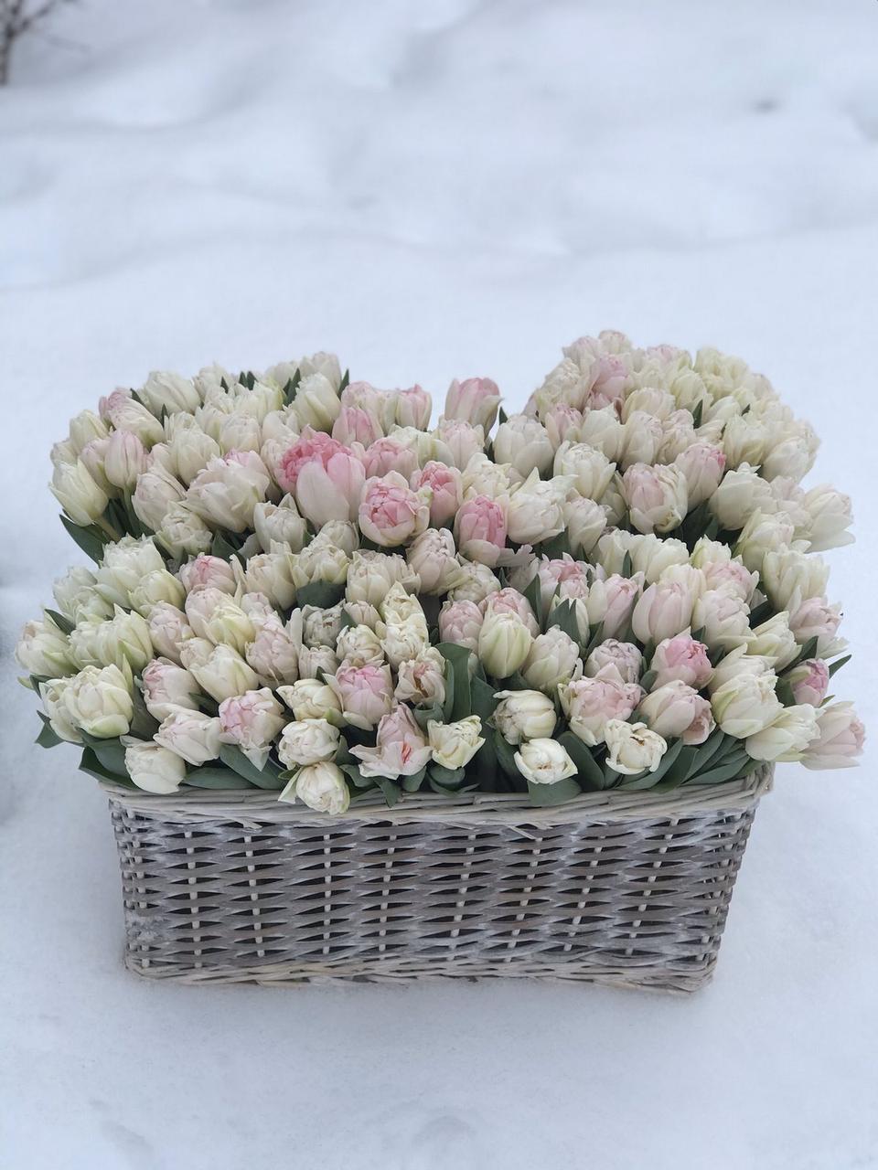 Белые и кремовые тюльпаны - фото 6 - id-p72197643