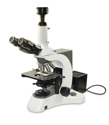 Прямой микроскоп OPTECH BIOSTAR BM 80 - фото 1 - id-p174919734