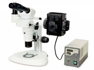 Флуоресцентный микроскоп OPTECH GZ 808 F - фото 1 - id-p174919740