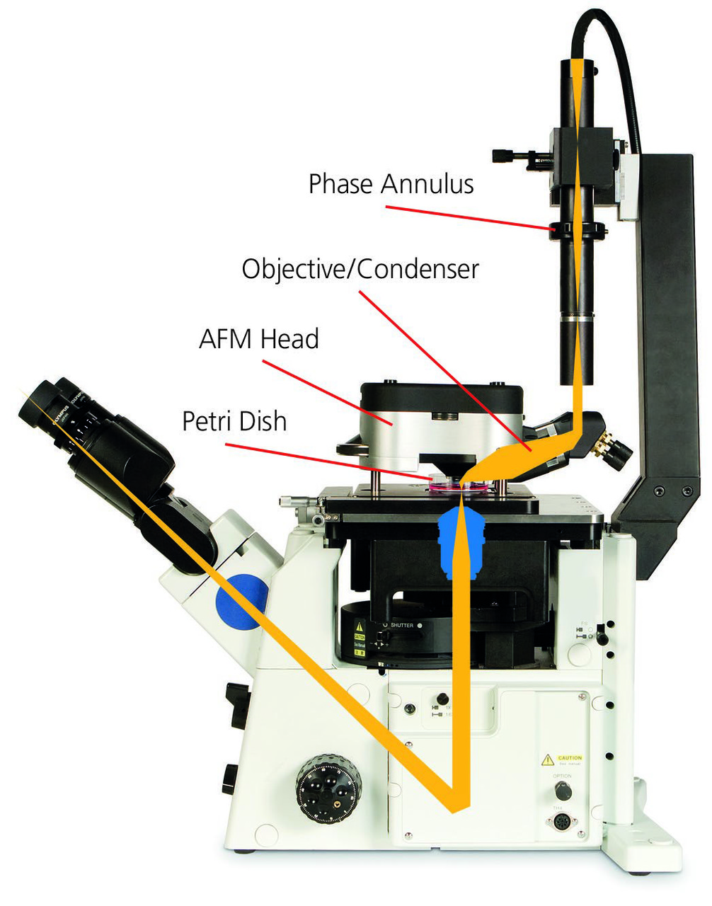 Атомно-силовой микроскоп Asylum Research MFP-3D-BIO - фото 4 - id-p174919754