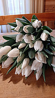 Белые и кремовые тюльпаны