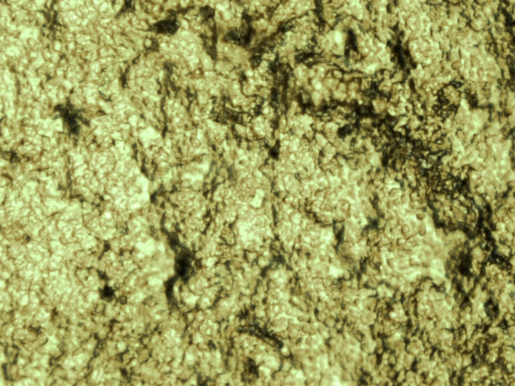 Микроскоп Микромед МЕТ-2 - фото 4 - id-p174919788