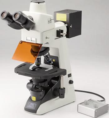 Лабораторный микроскоп Nikon Eclipse Е200F/Е200F LED - фото 1 - id-p174919859