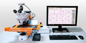 Система автоматического анализа мазков крови TissueGnostics HemoFAXS