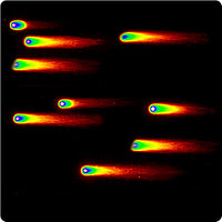 Программное обеспечение Perceptive Instruments Comet Assay IV