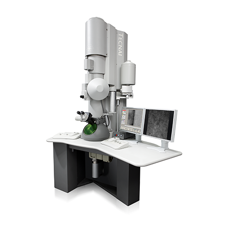 Просвечивающий электронный микроскоп FEI Tecnai G2 30 - фото 1 - id-p174919898