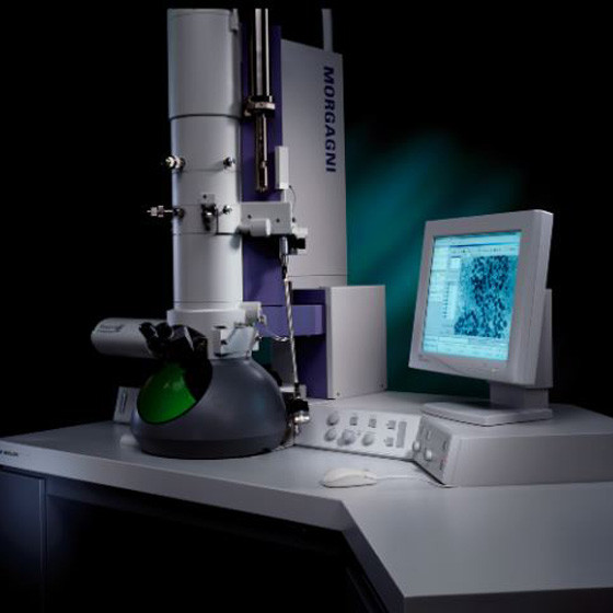Микроскоп просвечивающий электронный FEI Morgagni 268 (D) - фото 2 - id-p174919903
