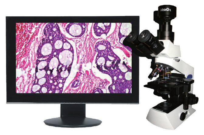 Микроскоп цифровой MSHOT ME21 - фото 1 - id-p174919929