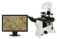 Микроскоп цифровой MSHOT ME41