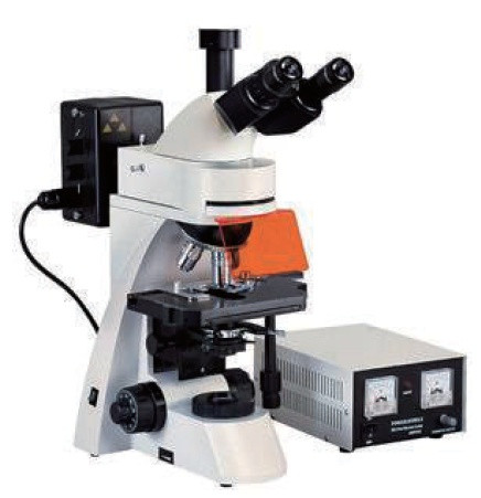 Микроскоп флюоресцентный MSHOT MF30 - фото 1 - id-p174919937