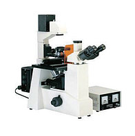 Микроскоп флюоресцентный MSHOT MF51