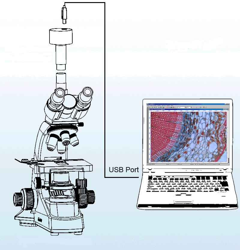 Микроскоп тринокулярный Микромед 1 вар. 3 LED - фото 5 - id-p174920006