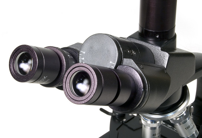 Микроскоп цифровой Levenhuk D670T - фото 4 - id-p174920011