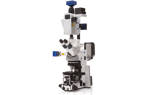 Конфокальный микроскоп Carl Zeiss Cell Observer SD - фото 1 - id-p174920236
