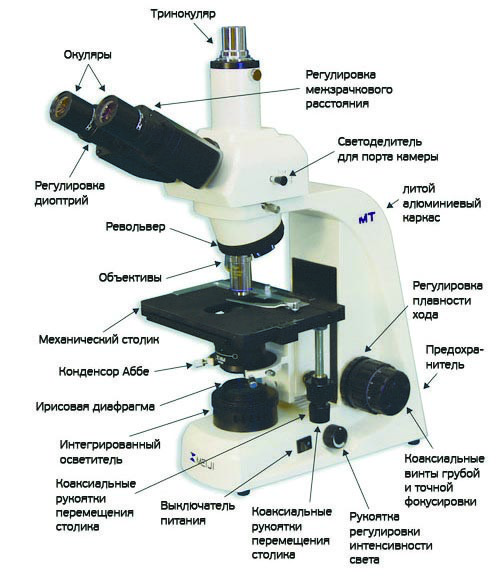Биологические микроскопы проходящего света Meiji Techno MT4000 - фото 2 - id-p174920248