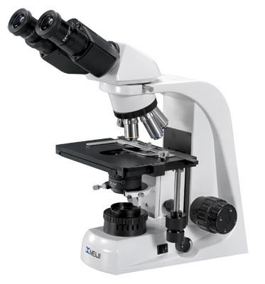 Биологические микроскопы проходящего света Meiji Techno MT5000 - фото 1 - id-p174920249