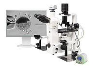 Инвертированные микроскопы для ИКСИ Meiji Techno ТС5000