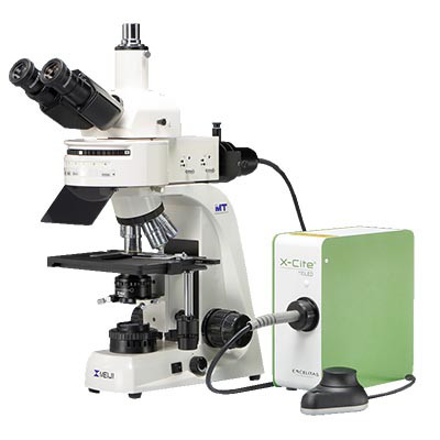 Тринокулярные микроскопы со светодиодным флуоресцентным осветителем Meiji Techno MT6000 (SP) - фото 1 - id-p174920275