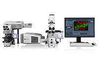 Конфокальный лазерный сканирующий микроскоп Carl Zeiss LSM 710