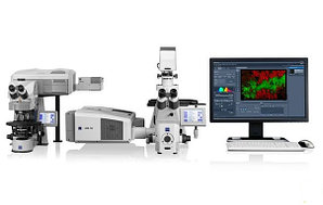 Конфокальный лазерный сканирующий микроскоп Carl Zeiss LSM 780