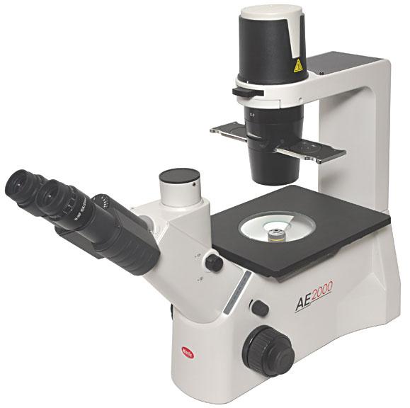 Инвертированный микроскоп для клеточных культур Motic АЕ2000 - фото 1 - id-p174920356