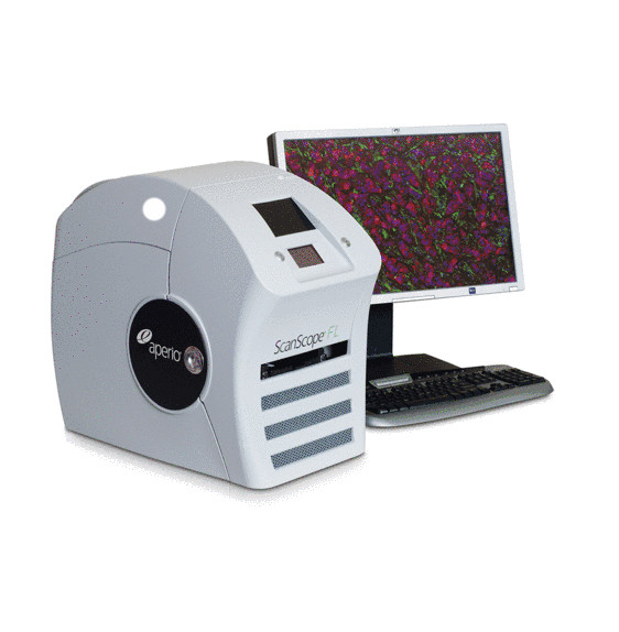 Цифровой сканер микропрепаратов для флуоресценции Leica Microsystems ScanScope FL - фото 1 - id-p174920451