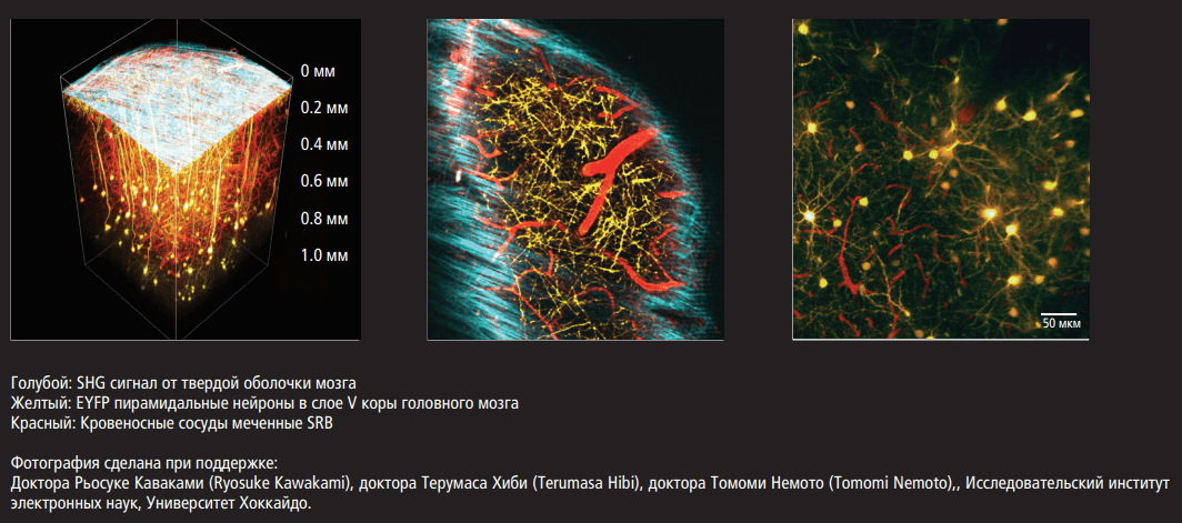 Электронно-ионный микроскоп ZEISS Crossbeam 350 - фото 3 - id-p174920487