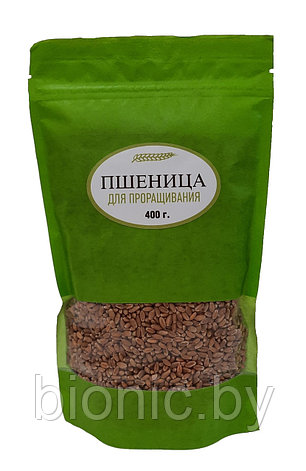 Пшеница для проращивания "Житница здоровья", дой пак 400г, фото 2