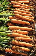 Морковь 235-126 F1, семена, 1,0гр., новинка, (чп)