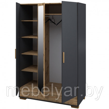 Шкаф для одежды МН-036-33(1) Мебель Неман Cканди Графит - фото 2 - id-p174948306